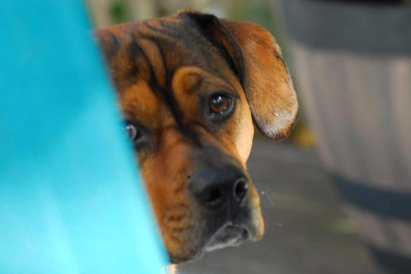 My little wild child Wyatt