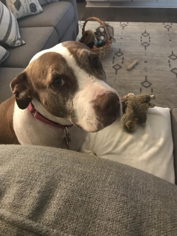 Waiting for her Zuke’s