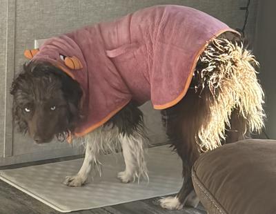 Questions and Answers about NANAKI Super Absorbent & Fast Drying