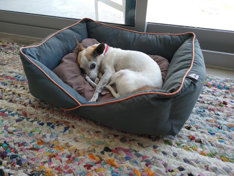 Content after a yummy meal of no-grain chicken.n