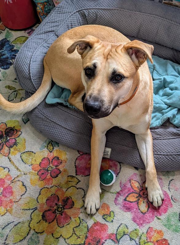 Penny is baffled and wonders if maybe she can just have the tube of good stuff?