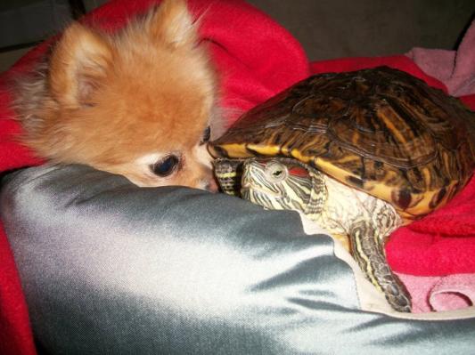 Zillababy with her best friend.