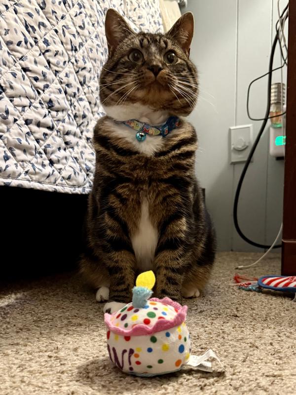 Obligate birthday photo