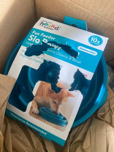Chewy Review – Outward Hound Fun Feeder Interactive Dog Bowl