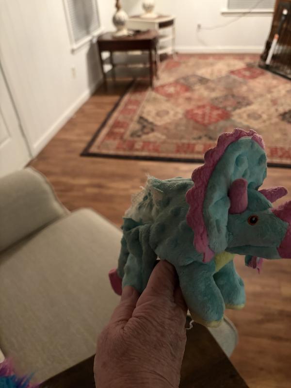 This is the show which dinosaur it was