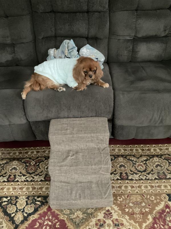 Perfect for our Ginger!