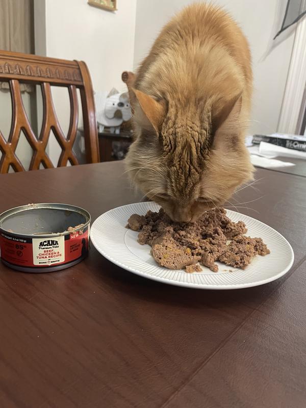 ACANA Premium Beef Chicken & Tuna in Bone Broth Pate Wet Cat Food, 3-oz  can, case of 24 - Chewy.com
