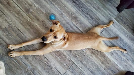 With Rescue Remedy - still full of energy, but capable of relaxing