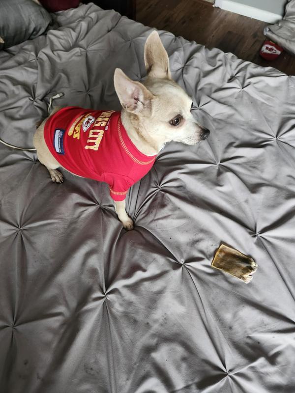 Go Chiefs!!