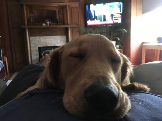 LiLy on my lap.