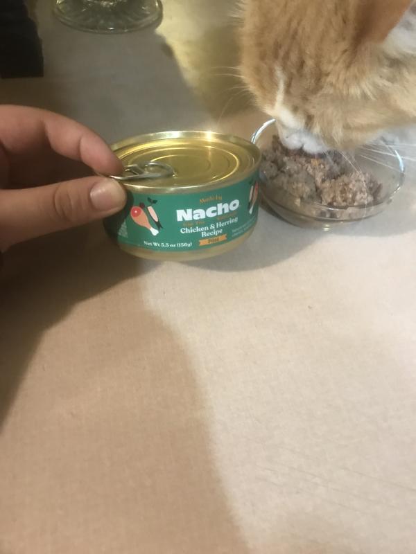 Lion enjoyed the food!
