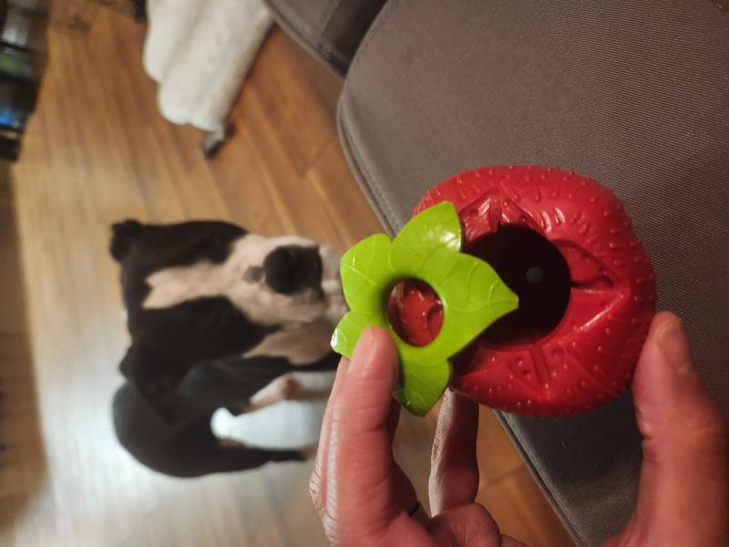 Askhald Strawberry Dog Toys, Dog Chew Toys for Aggressive chewers