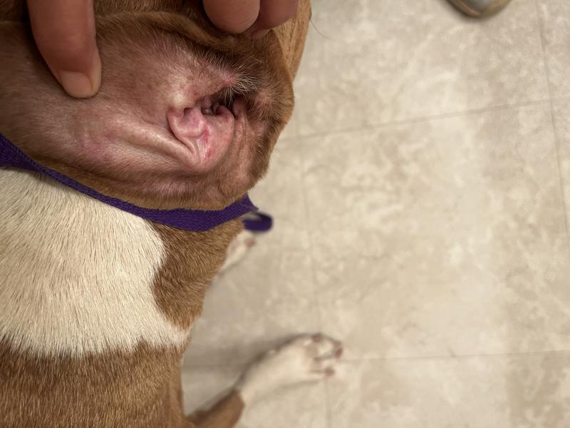 Significant redness reduction