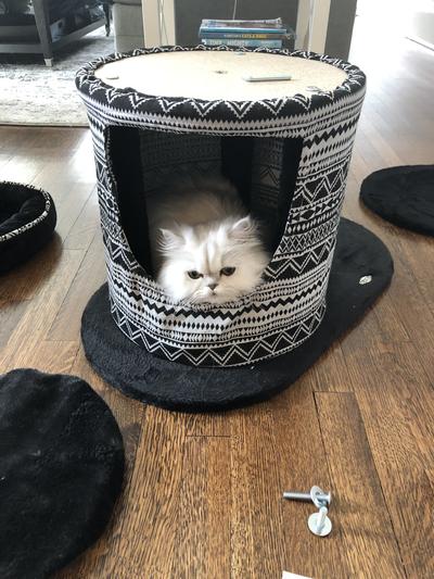 TRIXIE Giada 44.1-in Plush Tower Cat Scratching Post