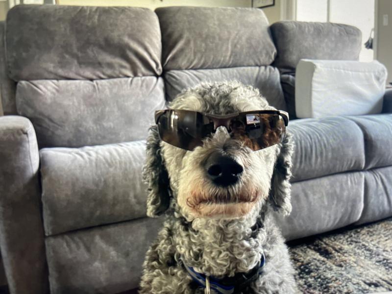 Ready for the solar eclipse