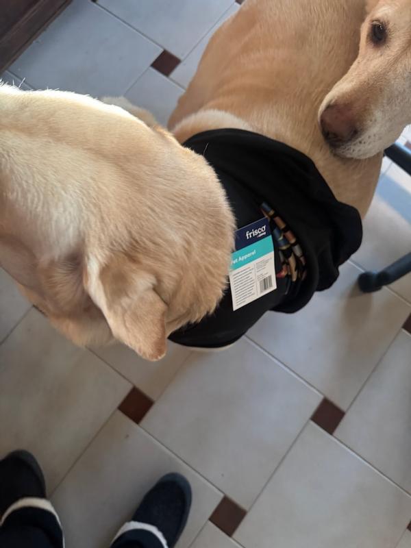 Wish it was true to size