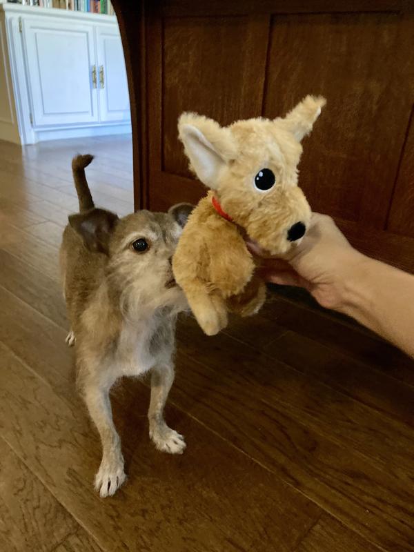 I will get you, Peanut!