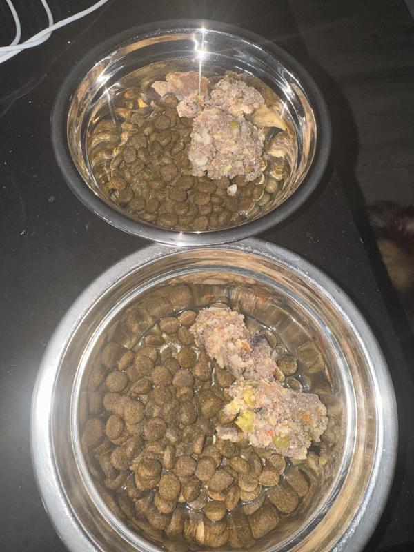 Scooped in their bowl, just enough to taste just in case.