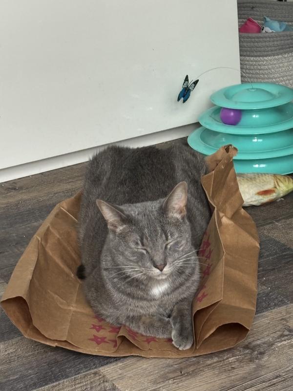 Petlinks Catnip Caverns Hideout Bags Cat Toy