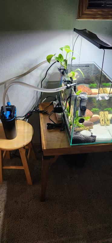 Temporary set up until I get longer tubing.