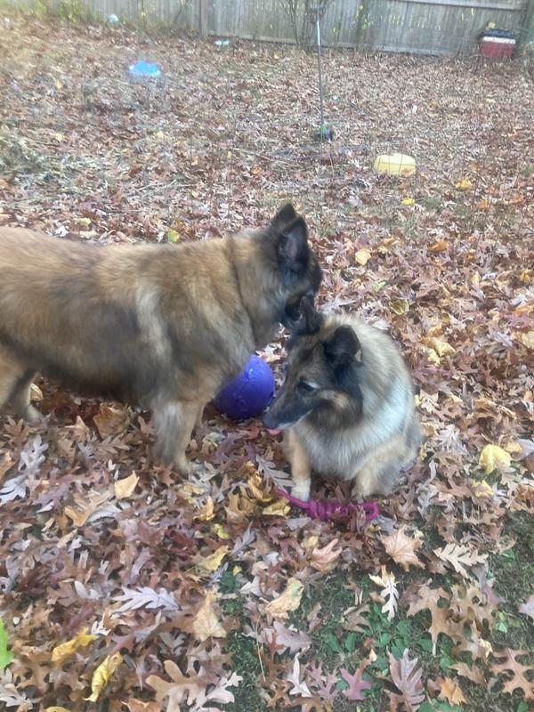 10 yrs old with her normal size brother