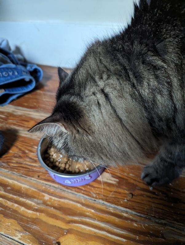 HARTZ Delectables Gravy Variety Pack Lickable Cat Treats, 1.4oz tubes