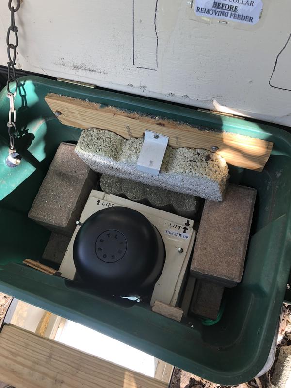 Feeder in vault