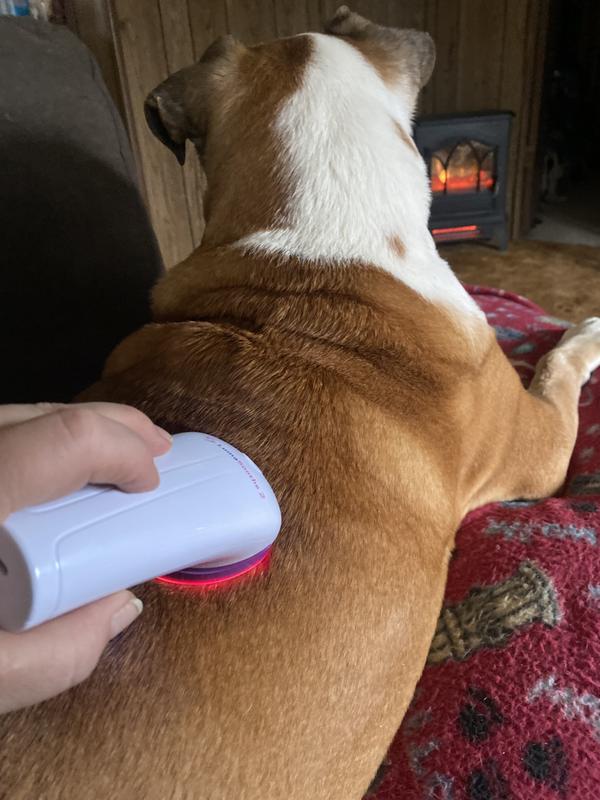 LUMASOOTHE 2 Light Therapy Dog & Cat Pain Reliever