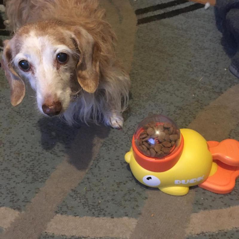 The look I get when taking too long.