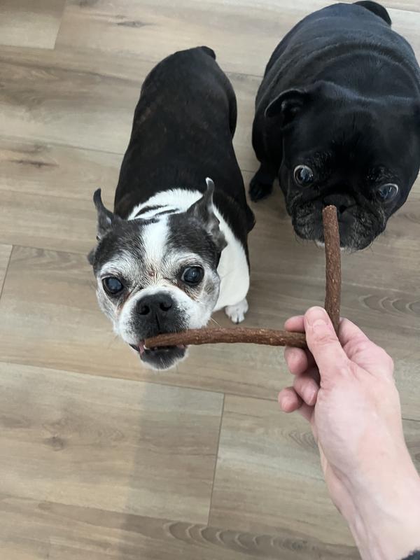 CoCo can hardly believe her eyes!