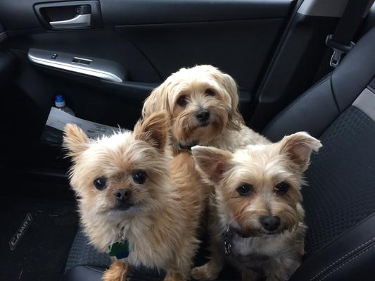 Jimmy, Betty & Moe