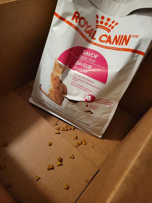 busted up bag of cat food caused the food to spoil.