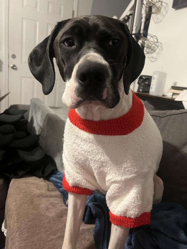 Wagatude Candy Cane Print Dog Pajamas
