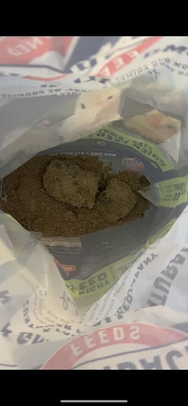Mold.