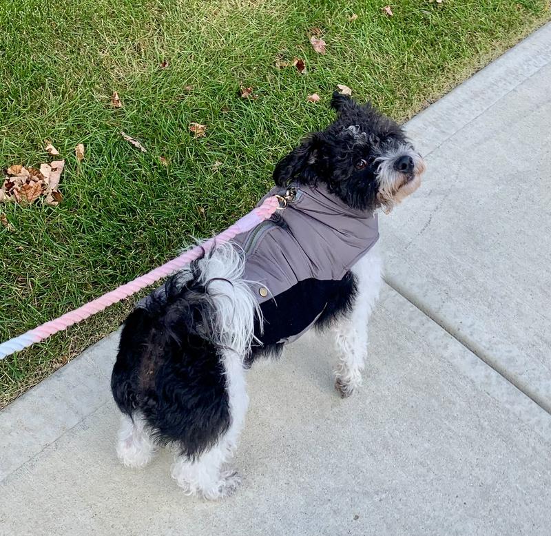 “Brrr … thanks for the coat, Mom!”