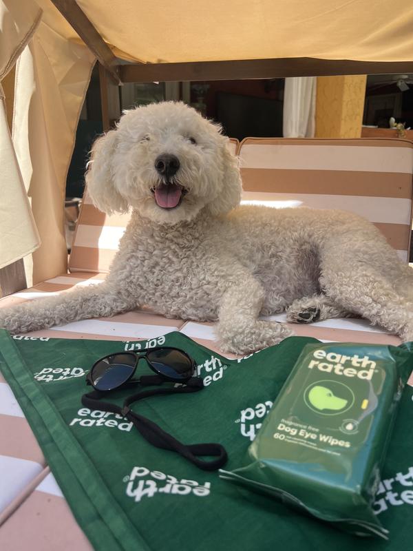 Pawsome poolside accessory