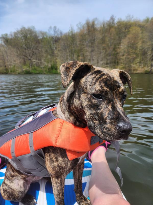 Top Paw Dog Life Jacket Yellow - Size Xtra Small - 5-15 lbs