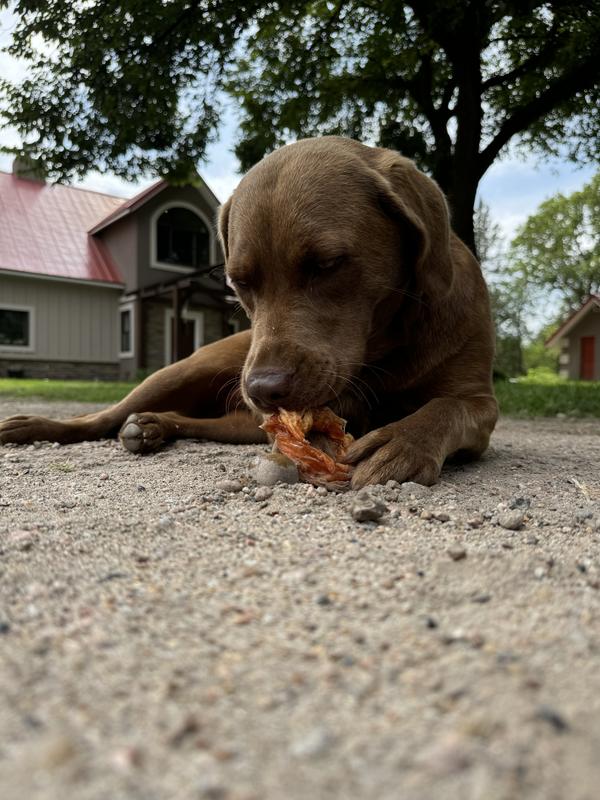 Fun to chew and rip apart!