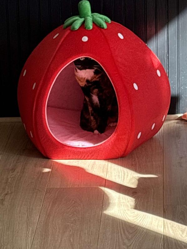 Lots of room Mugsy said