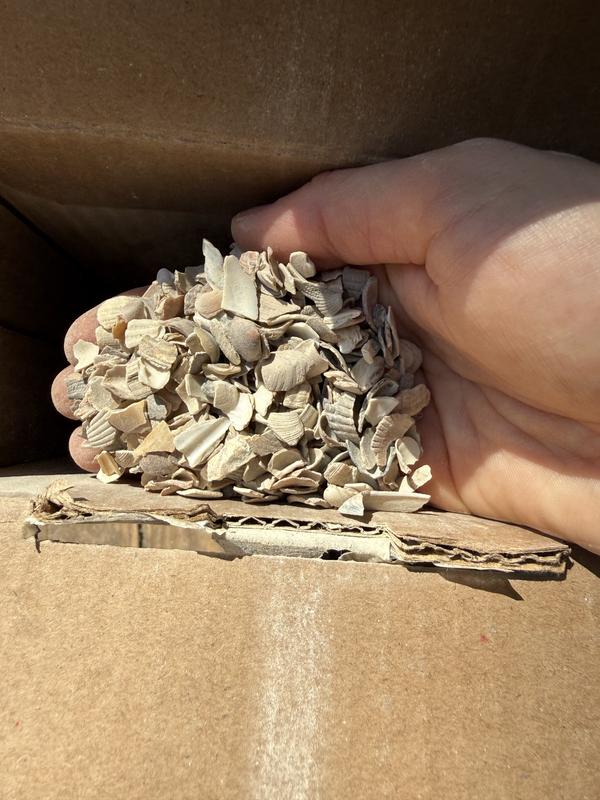 SMALL PET SELECT 100% Flaked Oyster Shell Calcium Supplement for ...