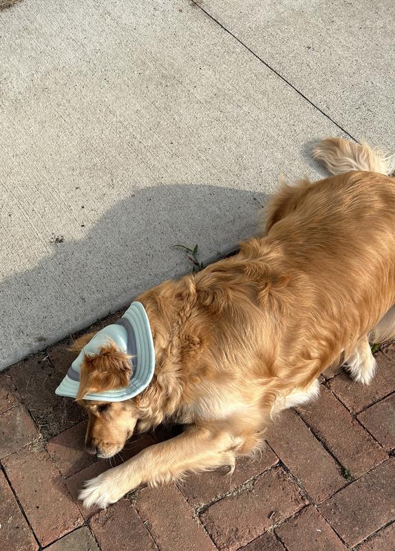 Desperately trying to remove the hat.