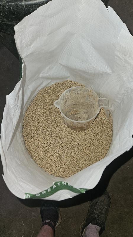 Yummy food for a piggy