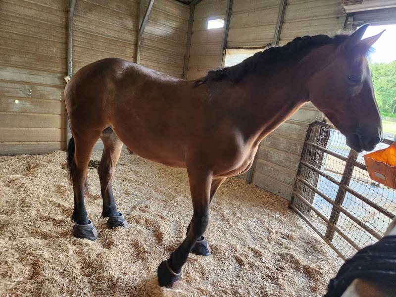 All 4 feet clean & dry!