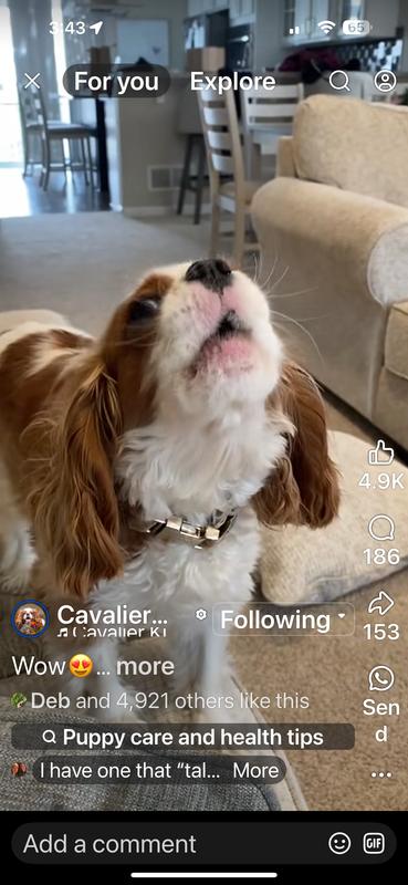 Vinnie speaks up for his treats