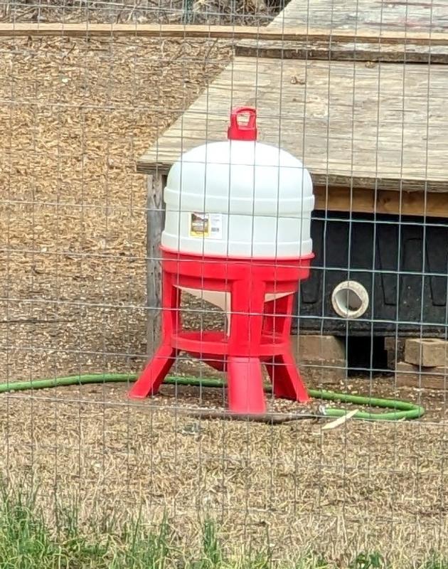 LITTLE GIANT Dome Poultry Waterer, 10gal