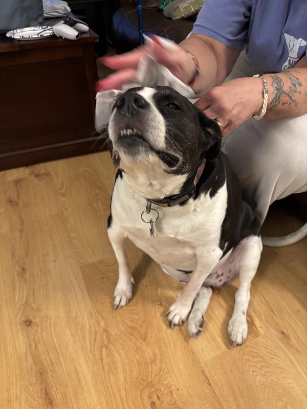 She’s leaning into it. The wipes are gentle so she likes her wipe time.