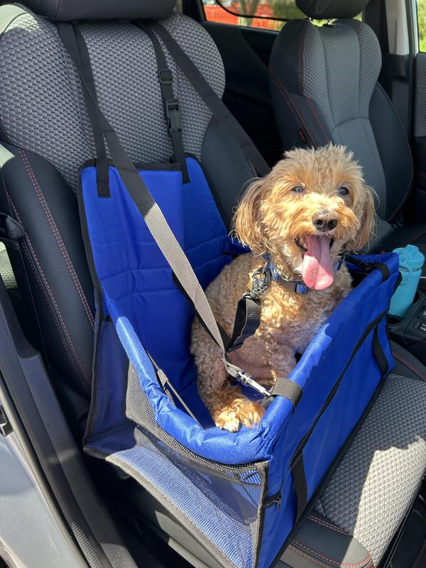 Has strap so he is safe