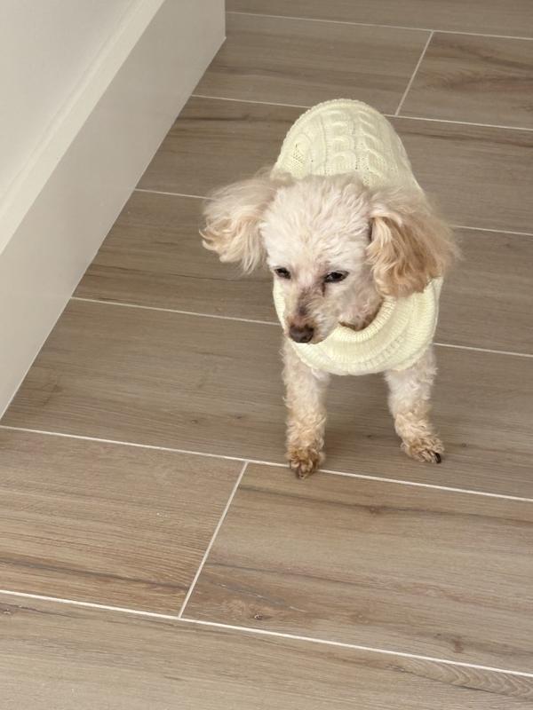 Lucy, feeling better