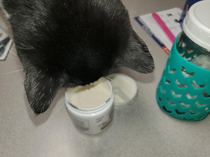 Hey CatMom, what's this?