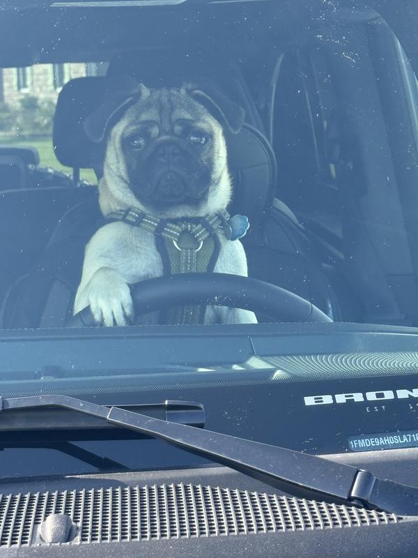 Driving to the store to get more